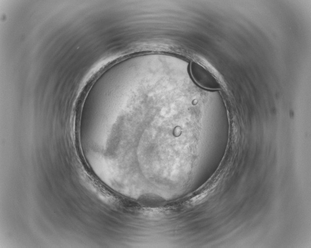 X0000087591035200705112258