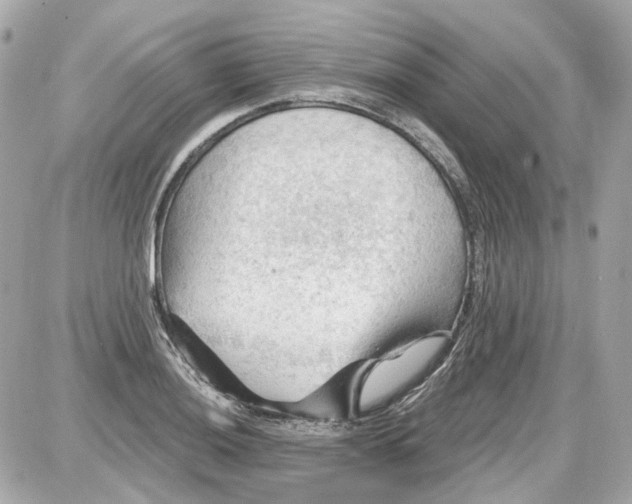 X0000087591036200705112258