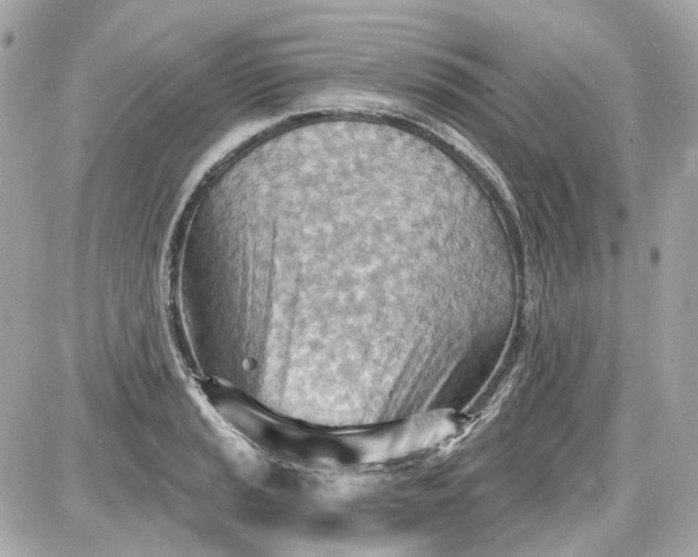 X0000087591037200705112258