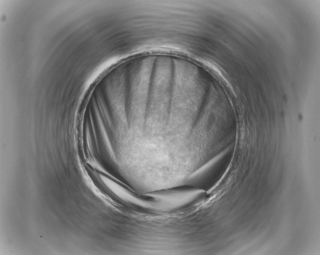 X0000087591038200705112258