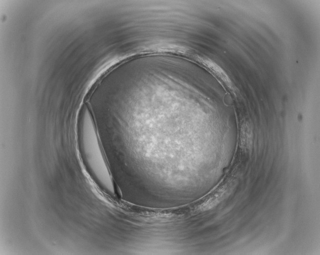 X0000087591039200705112258