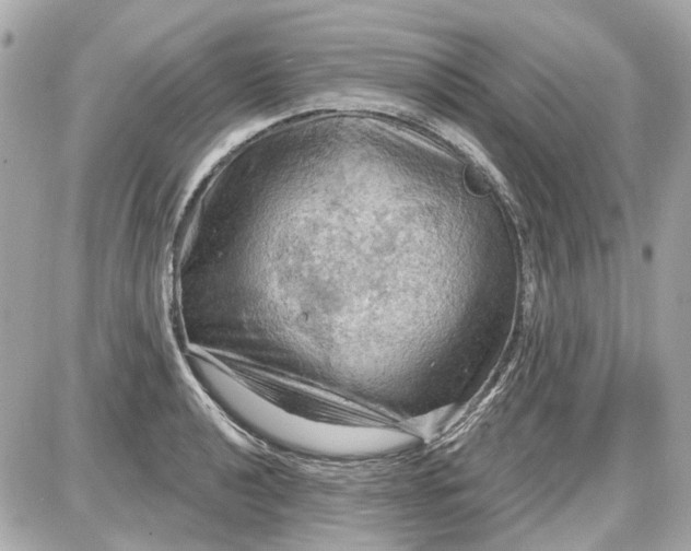 X0000087591040200705112258