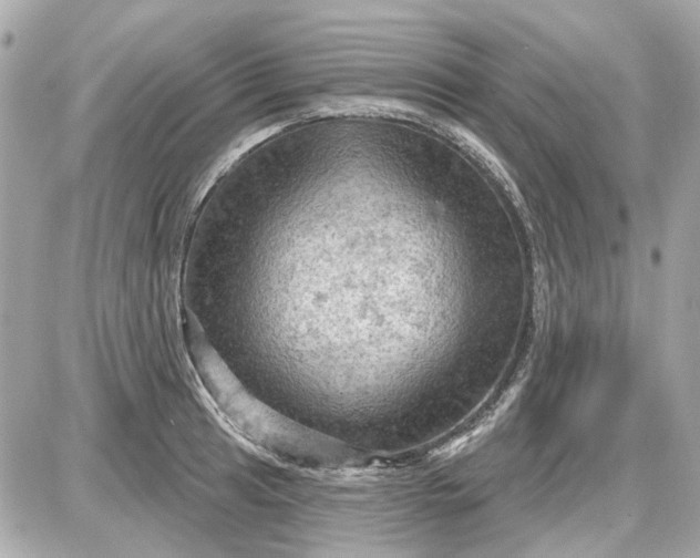 X0000087591041200705112258