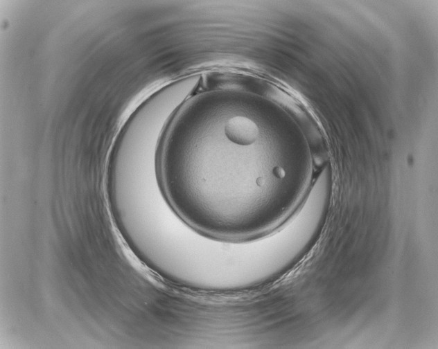 X0000087591042200705112258