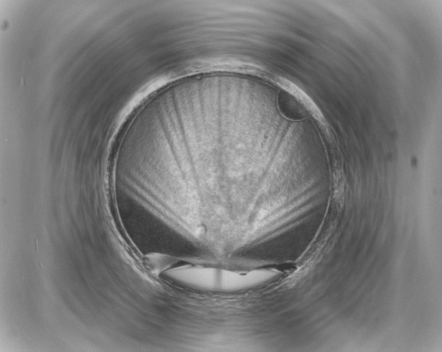 X0000087591043200705112258