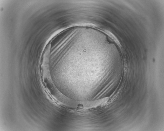 X0000087591044200705112258