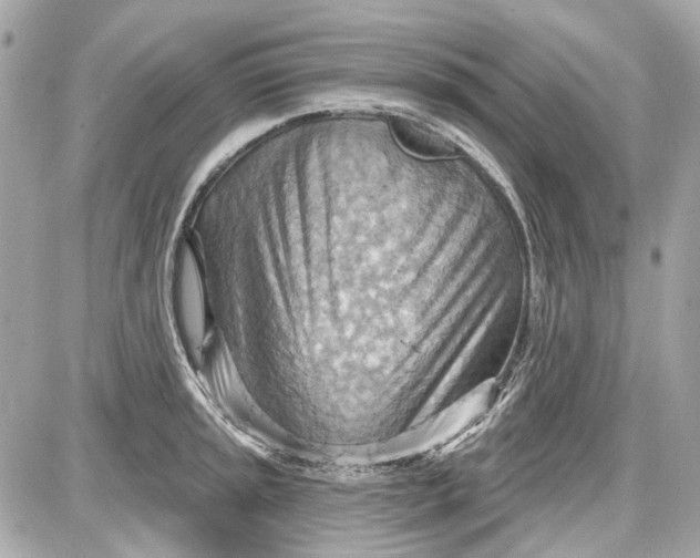 X0000087591045200705112258