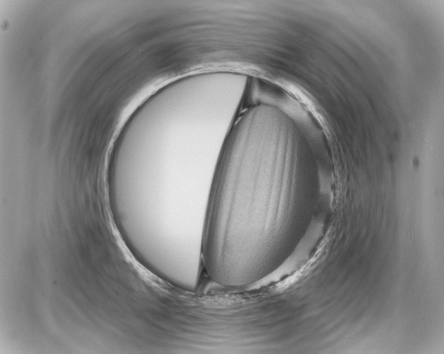 X0000087591046200705112258