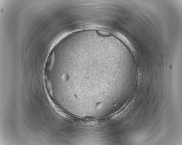 X0000087591047200705112258