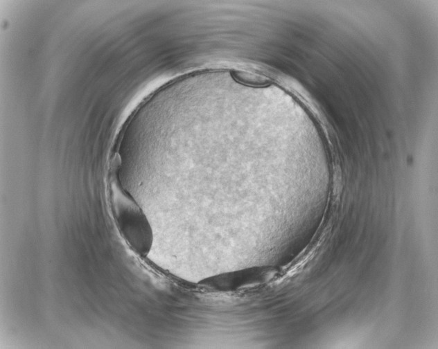 X0000087591048200705112258