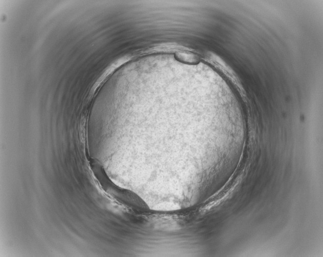 X0000087591049200705112258