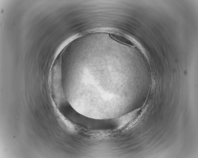 X0000087591050200705112258