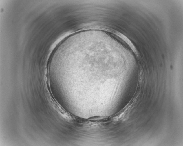 X0000087591051200705112258