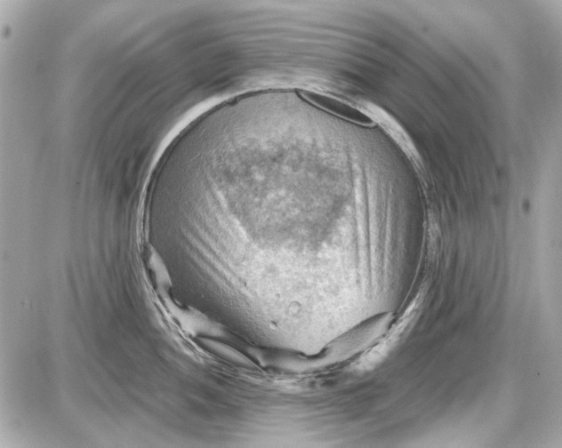 X0000087591052200705112258