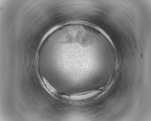 X0000087591053200705112258