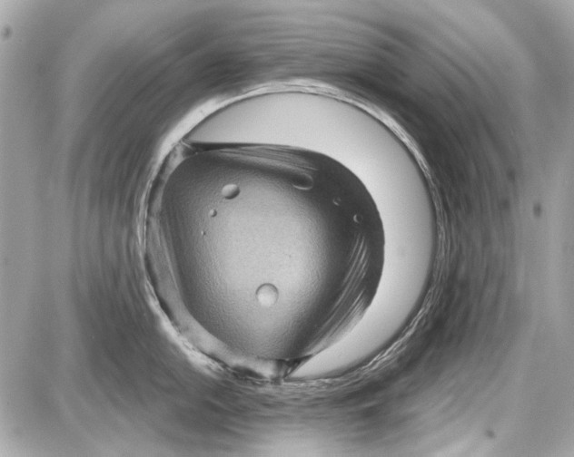 X0000087591054200705112258