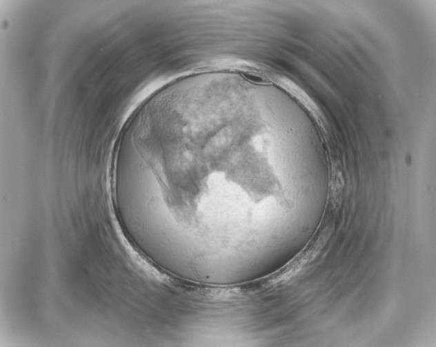 X0000087591055200705112258