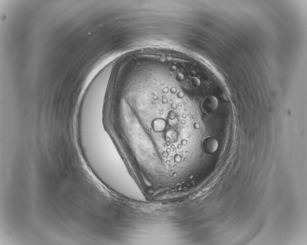 X0000087591056200705112258