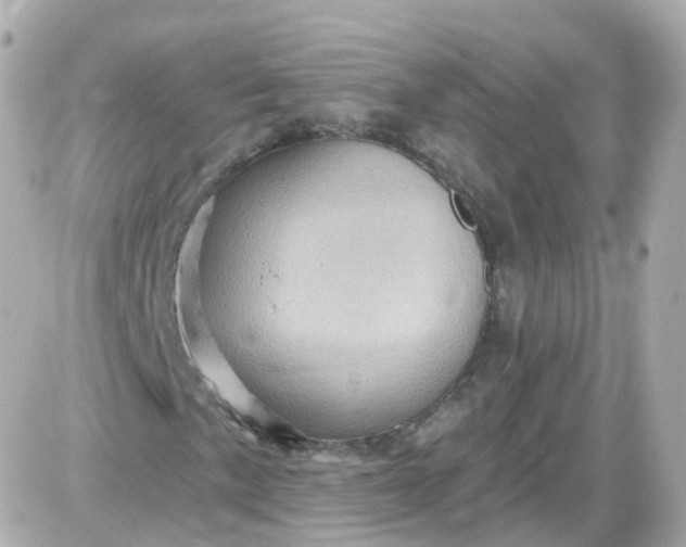 X0000087591057200705112257