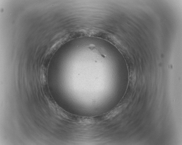 X0000087591058200705112257