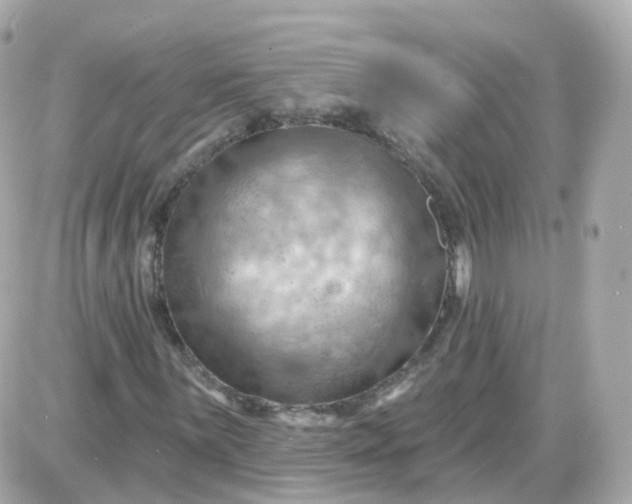 X0000087591059200705112257