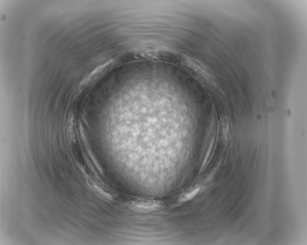 X0000087591060200705112257