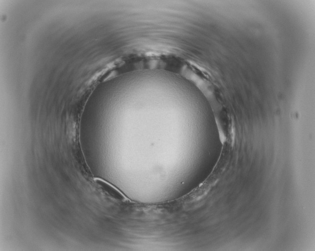 X0000087591061200705112257