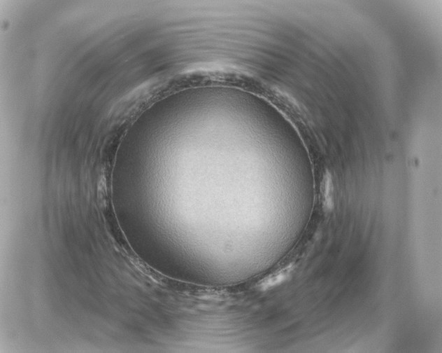 X0000087591062200705112257