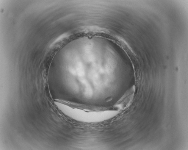 X0000087591063200705112257