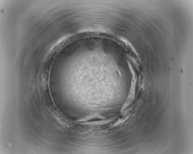 X0000087591064200705112257