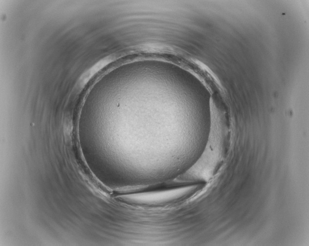 X0000087591065200705112257