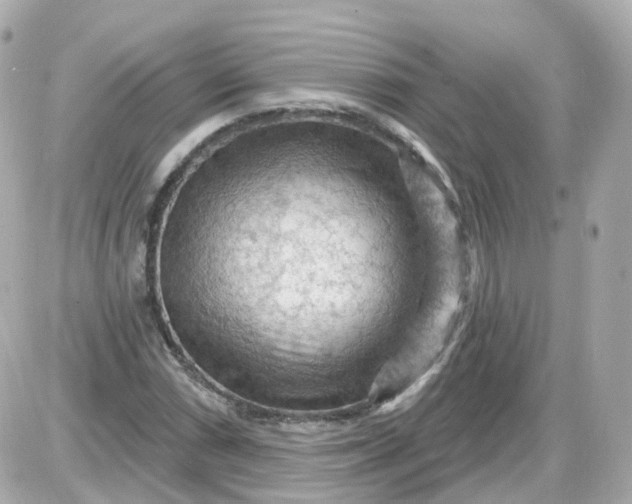 X0000087591066200705112257