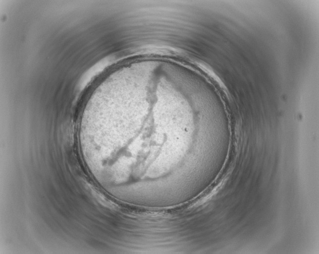 X0000087591067200705112257