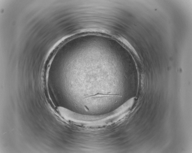 X0000087591068200705112257