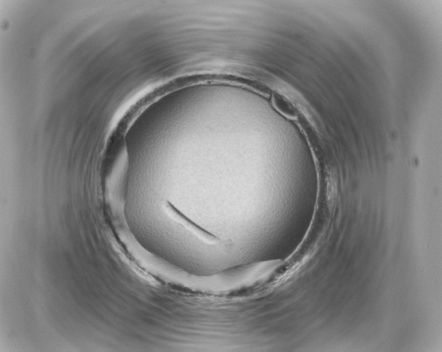 X0000087591069200705112257