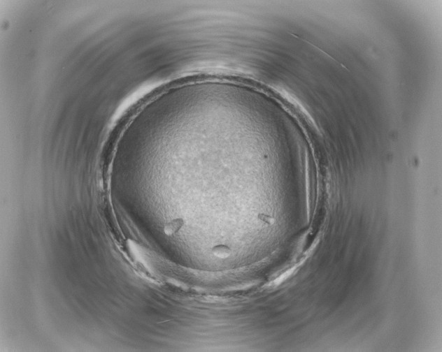 X0000087591070200705112257