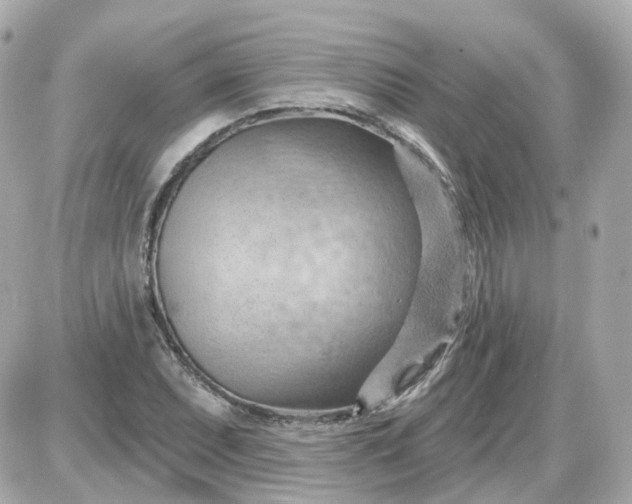 X0000087591071200705112257