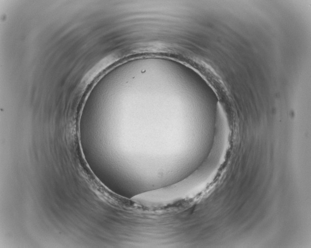 X0000087591073200705112257