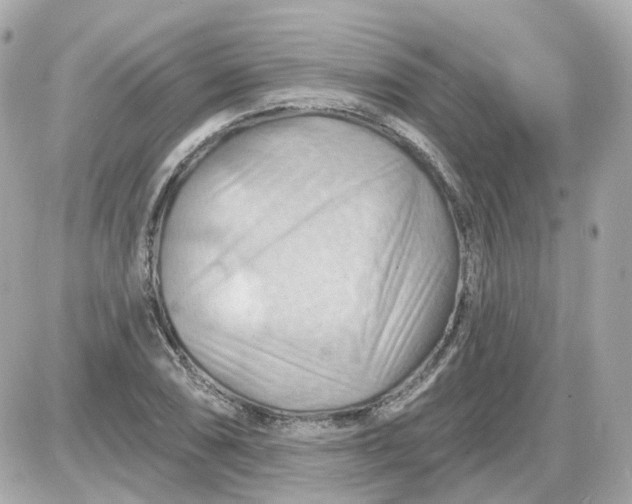 X0000087591074200705112257