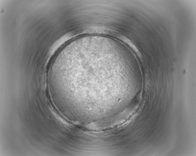 X0000087591075200705112257