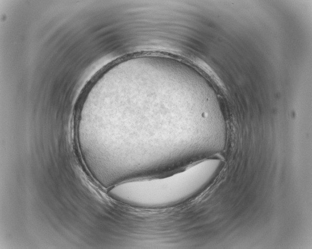 X0000087591076200705112257