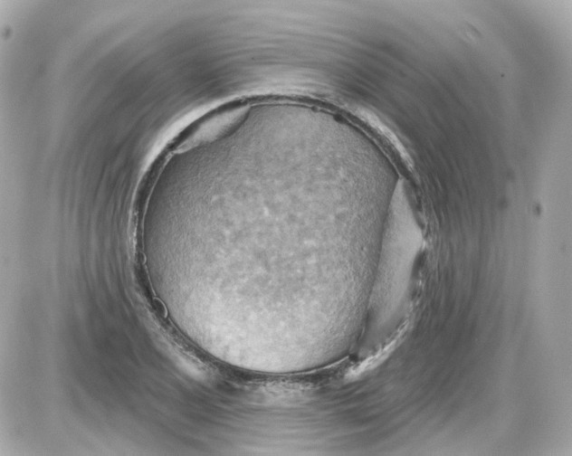 X0000087591077200705112257