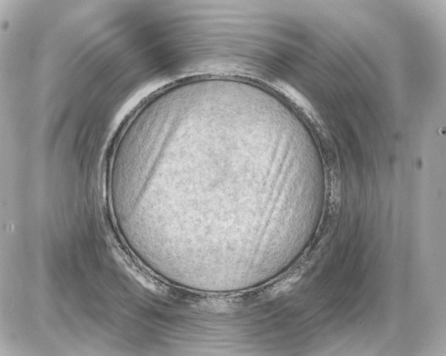 X0000087591078200705112257