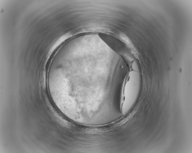 X0000087591079200705112257