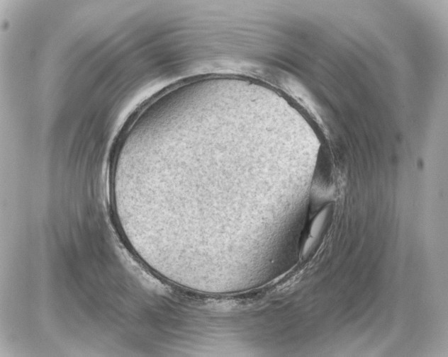 X0000087591080200705112257