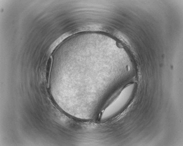 X0000087591081200705112257