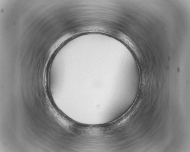 X0000087591082200705112257