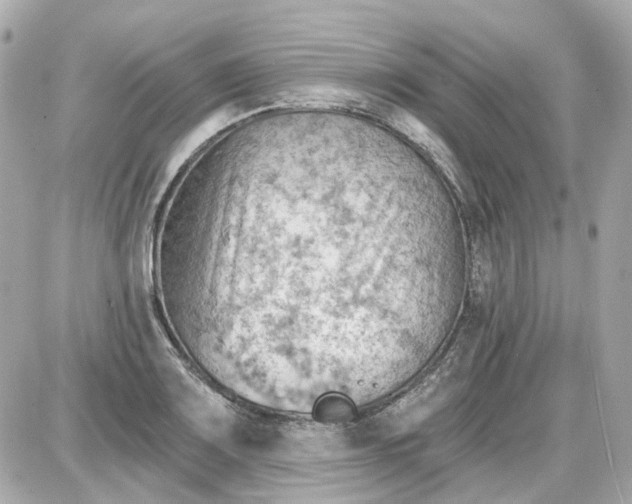 X0000087591083200705112257