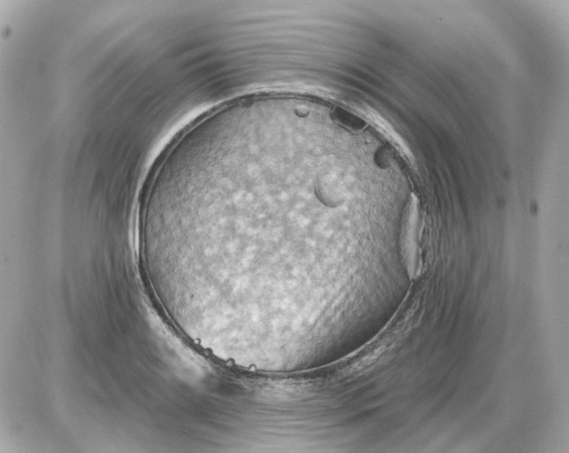 X0000087591084200705112257