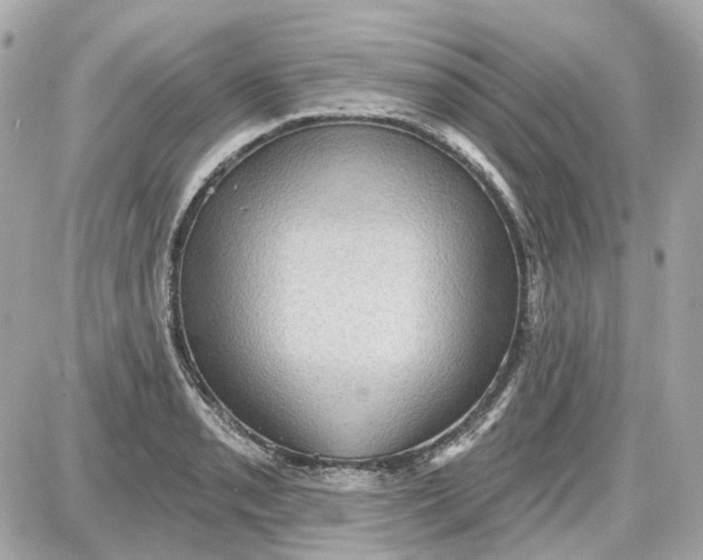 X0000087591085200705112257